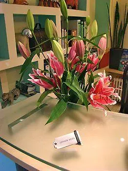 פרנקפורט Sophien Hotel